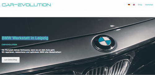 Diese Seite enthält detaillierte Informationen über das Projekt: Car-Evolution GmbH